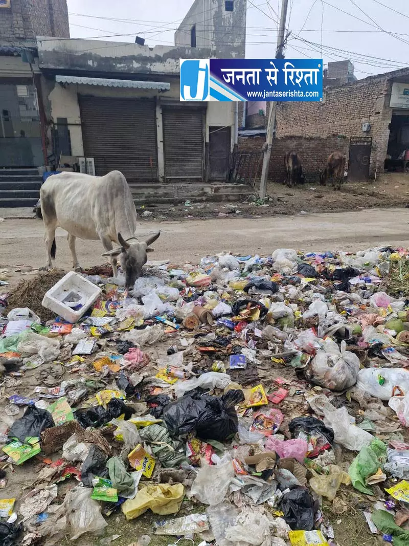 सिरसा में सफाईकर्मियों की हड़ताल से कचरा बढ़ा सिरसा में सफाईकर्मियों की हड़ताल से कचरा बढ़ा