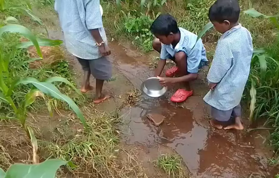 मासूमों की सेहत से खिलवाड़, स्कूल का हैंडपंप खराब बच्चे पी रहे गंदा पानी मासूमों की सेहत से खिलवाड़, स्कूल का हैंडपंप खराब बच्चे पी रहे गंदा पानी