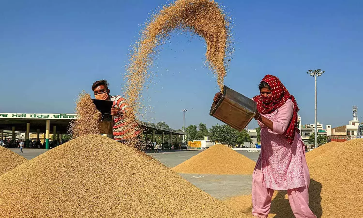 किसानों से धान की खरीद में आ रही दिक्कतों को लेकर अधिकारियों से संपर्क करने का आग्रह किया गया किसानों से धान की खरीद में आ रही दिक्कतों को लेकर अधिकारियों से संपर्क करने का आग्रह किया गया