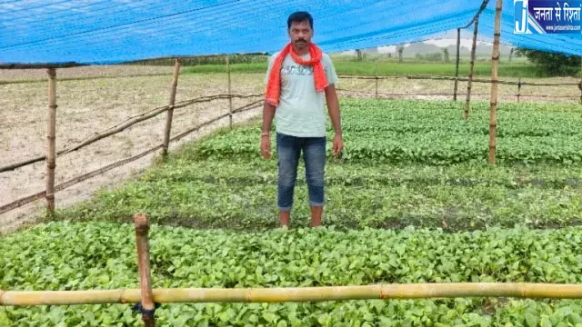 असामाजिक तत्वों ने खरपतवार नाशक दवा डालकर नष्ट की किसान की गोभी नर्सरी असामाजिक तत्वों ने खरपतवार नाशक दवा डालकर नष्ट की किसान की गोभी नर्सरी