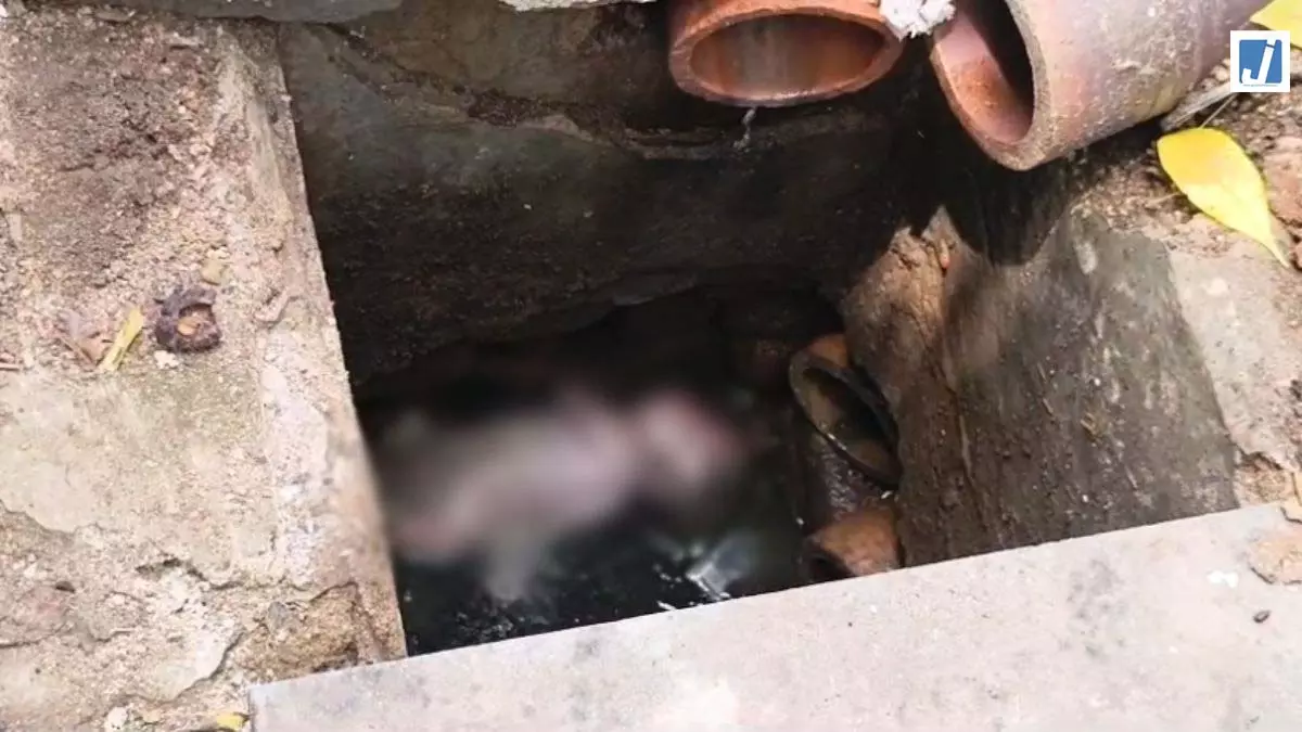 CG जाम गटर की सफाई कर रहे थे कर्मचारी अंदर नवजात देख उड़े होश CG जाम गटर की सफाई कर रहे थे कर्मचारी अंदर नवजात देख उड़े होश