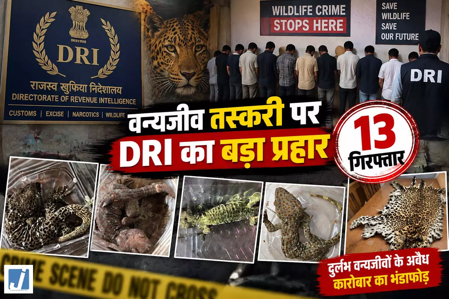 DRI का पैन इंडिया एक्शन, 13 तस्कर गिरफ्तार, पैंगोलिन स्केल-तेंदुए की खाल जब्त DRI का पैन इंडिया एक्शन, 13 तस्कर गिरफ्तार, पैंगोलिन स्केल-तेंदुए की खाल जब्त