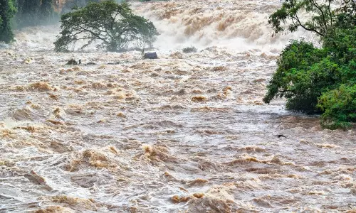 फतेहाबाद नहर में डूबा 3 साल का मासूम, मौके पर हुई मौत फतेहाबाद नहर में डूबा 3 साल का मासूम, मौके पर हुई मौत