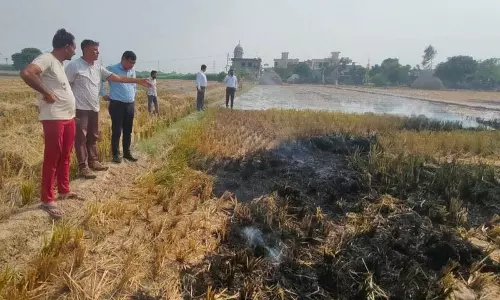 पराली जलाने पर रोक की तैयारी, कुरुक्षेत्र में 680 से ज्यादा नोडल अधिकारी तैनात