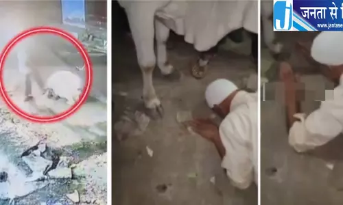 गाय को लात मारने पर बुजुर्ग से जबरन माफी