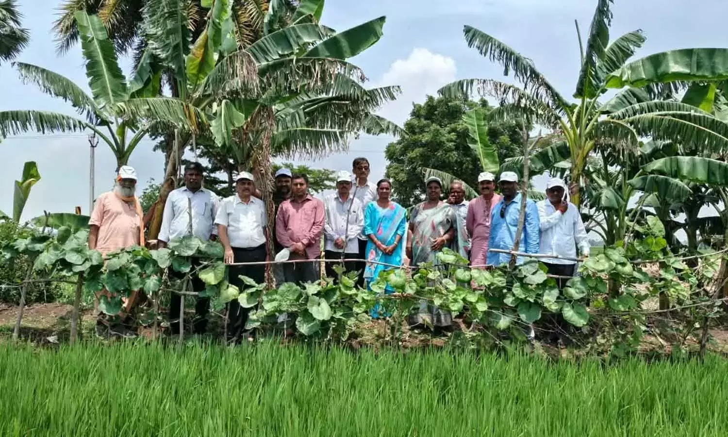 Andhra: गुजरात टीम ने आंध्र प्रदेश में नेचुरल फार्मिंग में बदलाव की तारीफ़ की