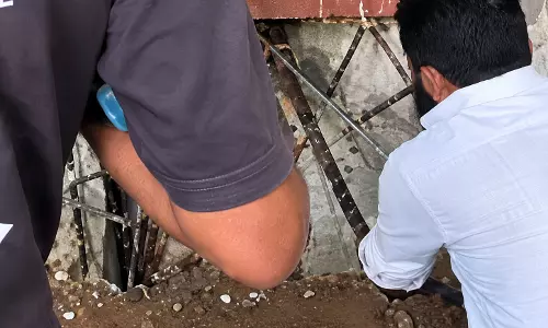 रिसॉर्ट में निकला 8 फीट लंबा किंग कोबरा, बिजली मीटर बोर्ड के पीछे छिपा था सांप