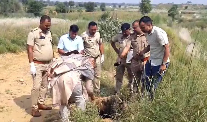 रोहतक के एक गाँव में दिल्ली के कैब ड्राइवर का जला हुआ शव मिला रोहतक के एक गाँव में दिल्ली के कैब ड्राइवर का जला हुआ शव मिला