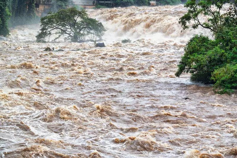 फतेहाबाद नहर में डूबा 3 साल का मासूम, मौके पर हुई मौत फतेहाबाद नहर में डूबा 3 साल का मासूम, मौके पर हुई मौत