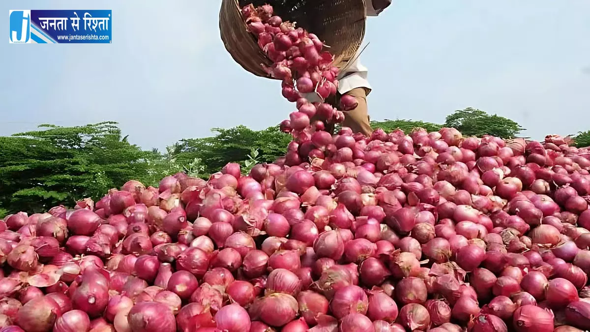 लासलगांव मंडी में प्याज 5,100 रुपये प्रति क्विंटल, सीमित स्टॉक से किसान मायूस लासलगांव मंडी में प्याज 5,100 रुपये प्रति क्विंटल, सीमित स्टॉक से किसान मायूस