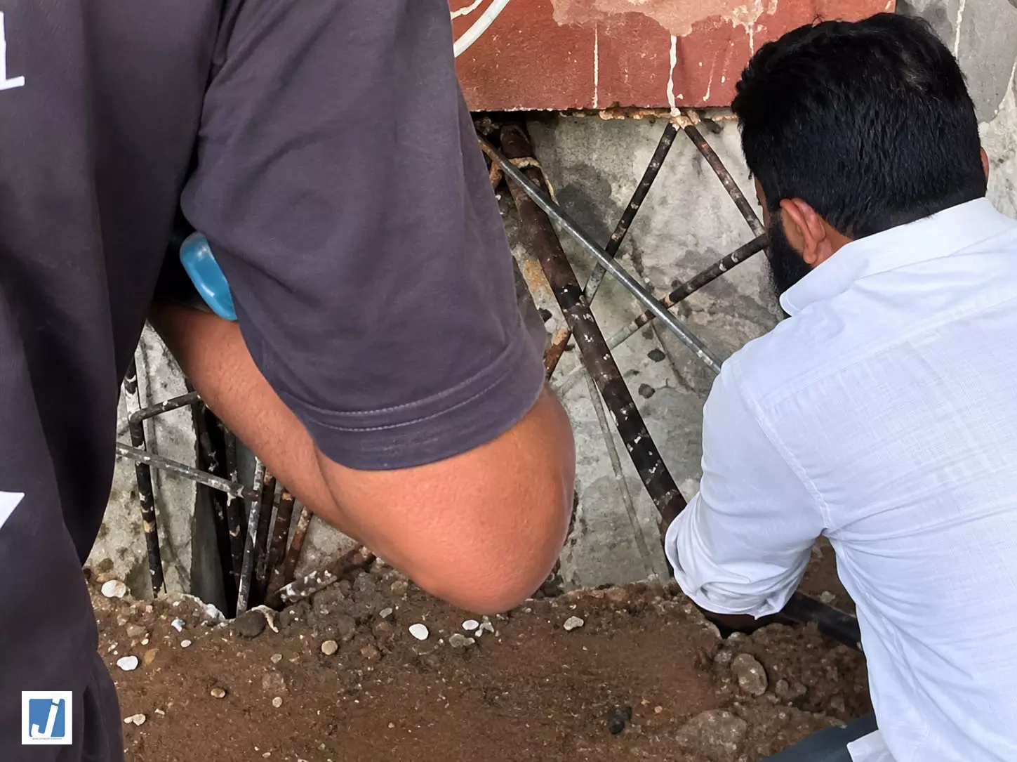 रिसॉर्ट में निकला 8 फीट लंबा किंग कोबरा, बिजली मीटर बोर्ड के पीछे छिपा था सांप रिसॉर्ट में निकला 8 फीट लंबा किंग कोबरा, बिजली मीटर बोर्ड के पीछे छिपा था सांप