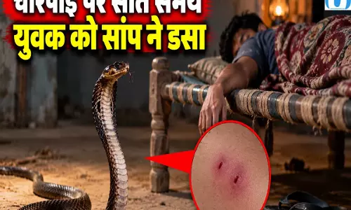 सांप के डसने से युवक की हालत गंभीर 20 इंजेक्शन के बाद भी राहत नहीं