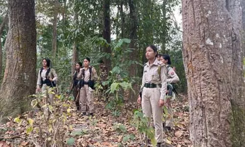 सीएम ने वन विभाग के शहीदों को दी श्रद्धांजलि, वन दुर्गा की भूमिका को बताया अहम