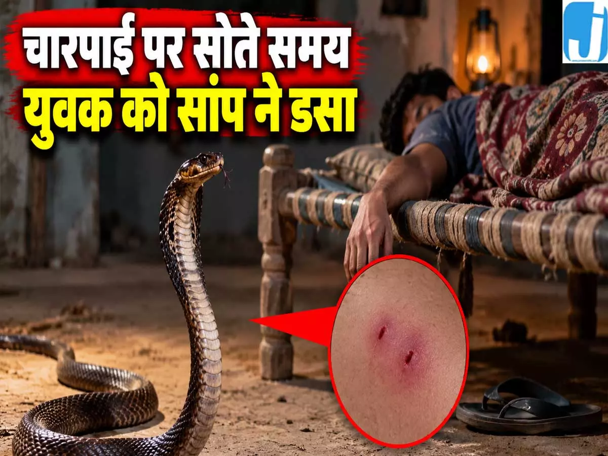 सांप के डसने से युवक की हालत गंभीर 20 इंजेक्शन के बाद भी राहत नहीं सांप के डसने से युवक की हालत गंभीर 20 इंजेक्शन के बाद भी राहत नहीं
