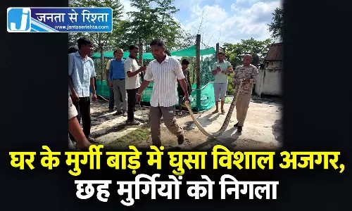 घर के मुर्गी बाड़े में घुसा विशाल अजगर, छह मुर्गियों को निगला घर के मुर्गी बाड़े में घुसा विशाल अजगर, छह मुर्गियों को निगला