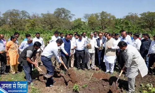 हरियाली बढ़ाने की कवायद दिल्ली रिज में पौधरोपण की मॉनिटरिंग होगी मजबूत