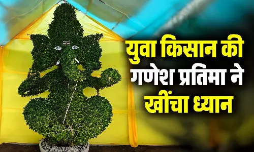 पौधों को दिया आकार, बनाए 9 फीट के जीवंत गणेश, युवा किसान की गणेश प्रतिमा ने खींचा ध्यान