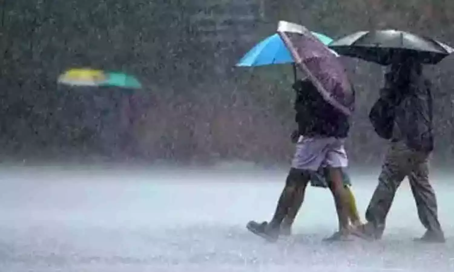 वारंगल और महबूबाबाद ज़िलों में भारी बारिश वारंगल और महबूबाबाद ज़िलों में भारी बारिश