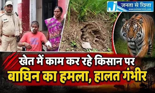 खेत में काम कर रहे किसान पर बाघिन का हमला, हालत गंभीर