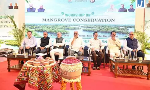 तटीय सुरक्षा और जैव विविधता के लिए मैंग्रोव अहम, भुज में बोले केंद्रीय मंत्री भूपेंद्र यादव तटीय सुरक्षा और जैव विविधता के लिए मैंग्रोव अहम, भुज में बोले केंद्रीय मंत्री भूपेंद्र यादव
