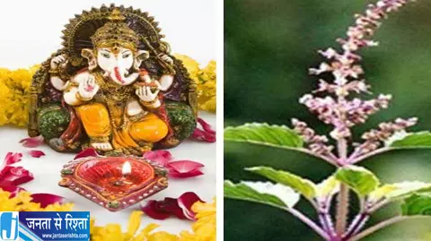 तुलसी दल से क्यों नाराज हुए थे गणेश जी पूरी कहानी जानें तुलसी दल से क्यों नाराज हुए थे गणेश जी पूरी कहानी जानें