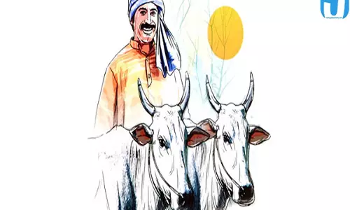 80 साल से बैलों को मिल रहा वीकली ऑफ किसानों ने आज भी निभाई परंपरा 80 साल से बैलों को मिल रहा वीकली ऑफ किसानों ने आज भी निभाई परंपरा
