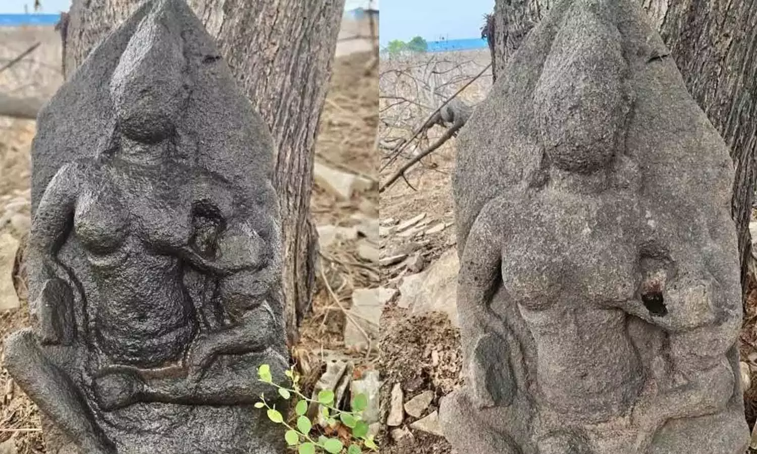 Telangana: आदिलाबाद ज़िले में बाल गणेश की दुर्लभ मूर्ति मिली Telangana: आदिलाबाद ज़िले में बाल गणेश की दुर्लभ मूर्ति मिली