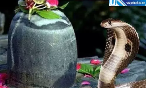आस्था से सराबोर हुआ सन्याल नागदेवता के दर्शन को उमड़ी भीड़