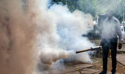 पश्चिम बंगाल में डेंगू का कहर, 29 नगर पालिकाएं और 278 ग्राम पंचायतें हॉटस्पॉट घोषित पश्चिम बंगाल में डेंगू का कहर, 29 नगर पालिकाएं और 278 ग्राम पंचायतें हॉटस्पॉट घोषित