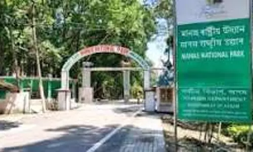 असम के मानस पार्क में अतिक्रमण का साया, 3,558 बीघा जमीन फंसी