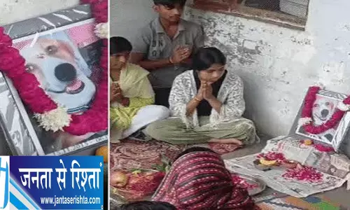परिवार ने डॉगी को दी अनोखी विदाई तेरहवीं पर बने पसंदीदा लड्डू परिवार ने डॉगी को दी अनोखी विदाई तेरहवीं पर बने पसंदीदा लड्डू