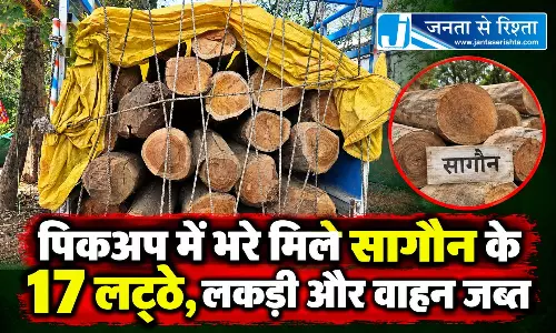 पिकअप में भरे मिले सागौन के 17 लट्ठे, लकड़ी और वाहन जब्त