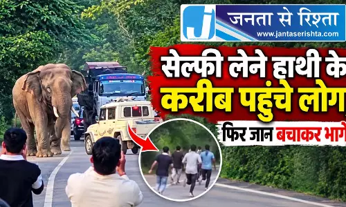 सेल्फी लेने हाथी के करीब पहुंचे लोग, फिर जान बचाकर भागे