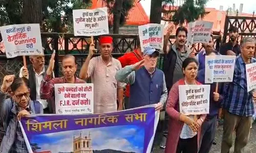 बंदर लंगूर और कुत्तों के आतंक के खिलाफ सड़कों पर उतरे लोग बंदर लंगूर और कुत्तों के आतंक के खिलाफ सड़कों पर उतरे लोग