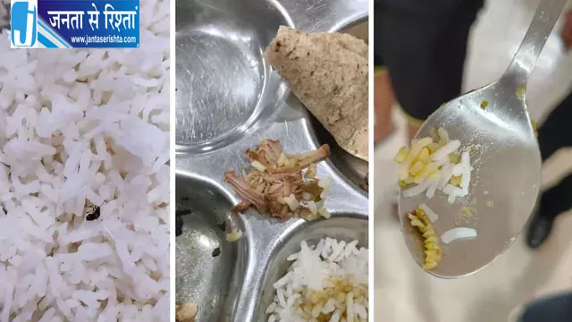 पाक कला संस्थान के मेस पर सवाल, खाने में कीड़े मिलने का छात्रों का आरोप पाक कला संस्थान के मेस पर सवाल, खाने में कीड़े मिलने का छात्रों का आरोप