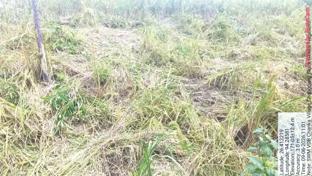 हाथियों के बार-बार आने से चंका गाँव के लोग परेशान हाथियों के बार-बार आने से चंका गाँव के लोग परेशान