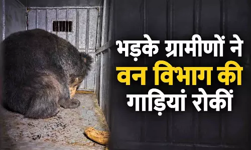 गांव के पास भालू छोड़ने का हुआ विरोध, अब पिंजरा लगाकर पकड़ेगा वन विभाग गांव के पास भालू छोड़ने का हुआ विरोध, अब पिंजरा लगाकर पकड़ेगा वन विभाग