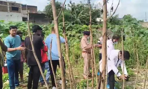 पुराने बस डिपो में युवक की सिर कुचलकर हत्या, FSL टीम ने जुटाए सबूत
