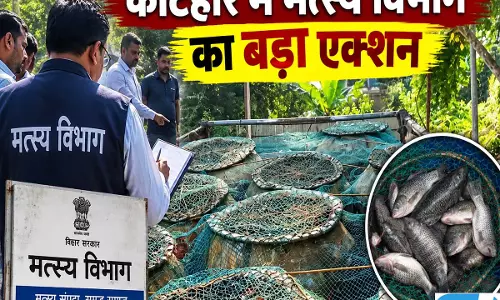 कोलकाता से पूर्णिया जा रही 50 क्विंटल चाइनीज मांगूर जब्त