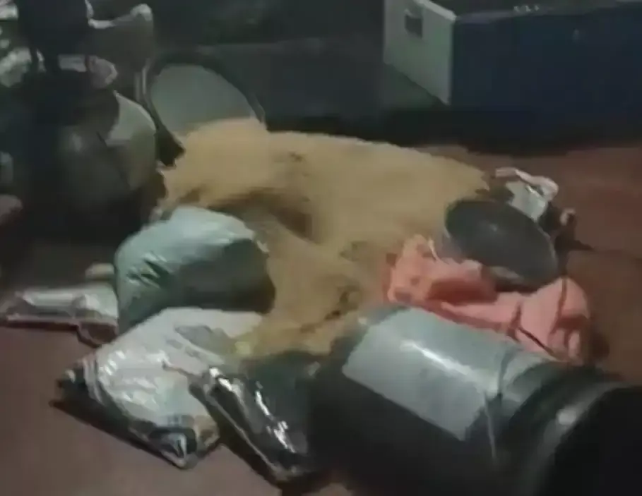 Rajgarh: ताला तोड़कर घर में घुसे चोर, सोने-चांदी के आभूषण चोरी
