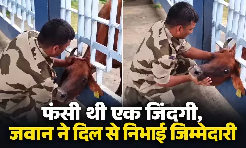 CISF जवान की समझदारी से बची गाय की जान, वायरल वीडियो देख लोग कर रहे सलाम CISF जवान की समझदारी से बची गाय की जान, वायरल वीडियो देख लोग कर रहे सलाम