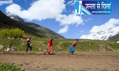 Himachal की पंगवाला जनजाति: प्रवासन के बाद भी सुरक्षित रहा कोर गट माइक्रोबायोम