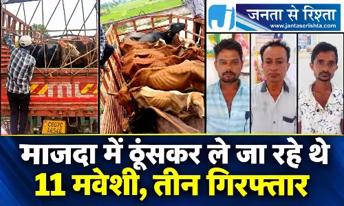 माजदा में ठूंसकर ले जा रहे थे 11 मवेशी, तीन गिरफ्तार