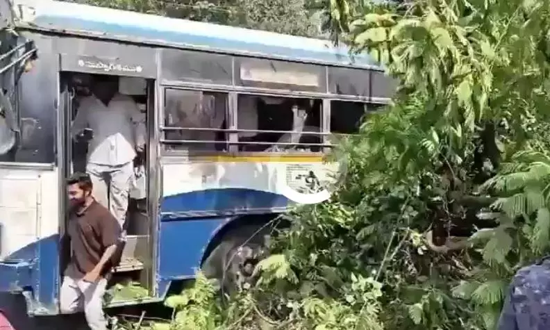 हनमकोंडा: TSRTC बस पर पेड़ गिरा, दो बाइक और तीन ऑटो क्षतिग्रस्त