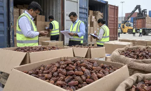 नासिक में DRI का बड़ा एक्शन, पाकिस्तान से आए 362 टन से अधिक सूखे खजूर जब्त
