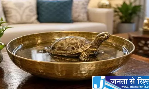 फेंगशुई कछुआ रखने से पहले जान लें ये जरूरी नियम