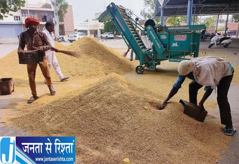 टूटे अनाज के 10% मानक पर मिल मालिकों की चिंता, बढ़ रही लागत टूटे अनाज के 10% मानक पर मिल मालिकों की चिंता, बढ़ रही लागत