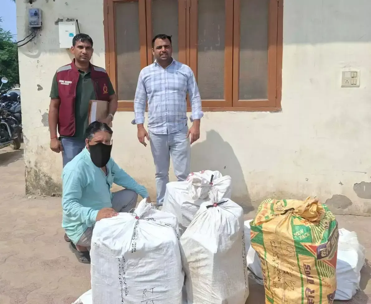Faridabad: फरीदाबाद में पटाखों के भंडारण का खुलासा, आरोपी पकड़ा