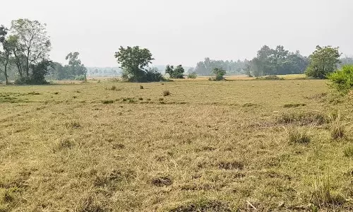 West Burdwan: चित्तरंजन में खाली जमीन को खेती के लिए किया जाएगा उपयोग