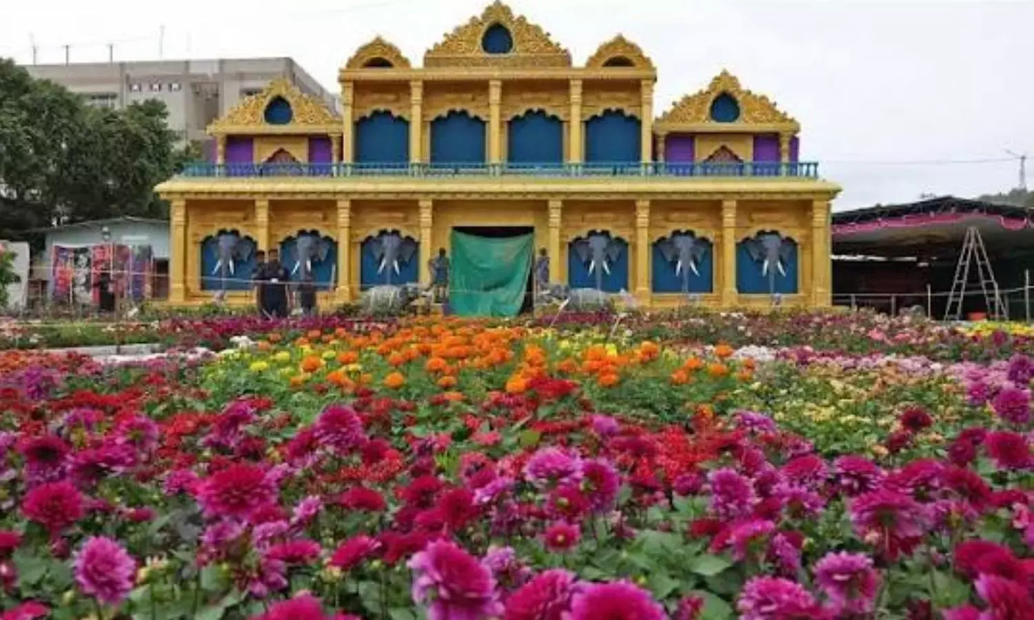 तिरुमाला कल्याण वेदिका में विशेष फूलों की प्रदर्शनी शुरू हुई तिरुमाला कल्याण वेदिका में विशेष फूलों की प्रदर्शनी शुरू हुई